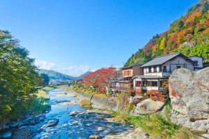 Tohoku